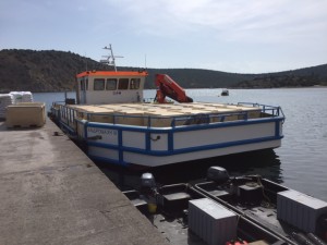 Ναυπήγηση σκάφους ΑΝΔΡΟΜΑΧΗ ΙΙΙ. Ναυπήγηση, μεταφορά και καθέλκυση σκάφους.