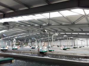 Μεταλλικό κτίριο συνολικής επιφάνειας 1100μ2