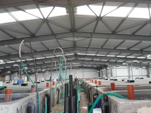 Μεταλλικό κτίριο συνολικής επιφάνειας 1100μ2
