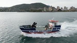 Ναυπήγηση σκάφους