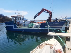 Ναυπήγηση σκάφους